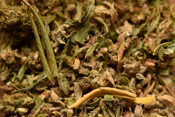 Té de Cáñamo